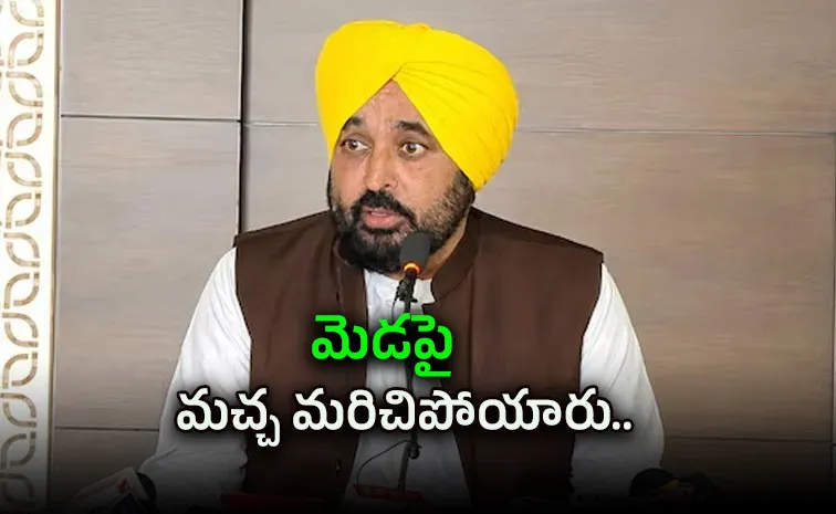 Mask Used To Create Fake Footage: Bhagwant Mann On Video Row