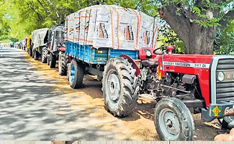 Mango purchases stalled at pulp factory