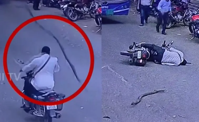 హెల్మెట్ ఎంత అవసరమో.. ఒక్కసారి ఈ వీడియో చూడండి