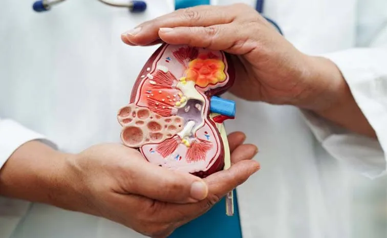 Health Tips: Kidney Disease Stages Risks and Real Life Experiences