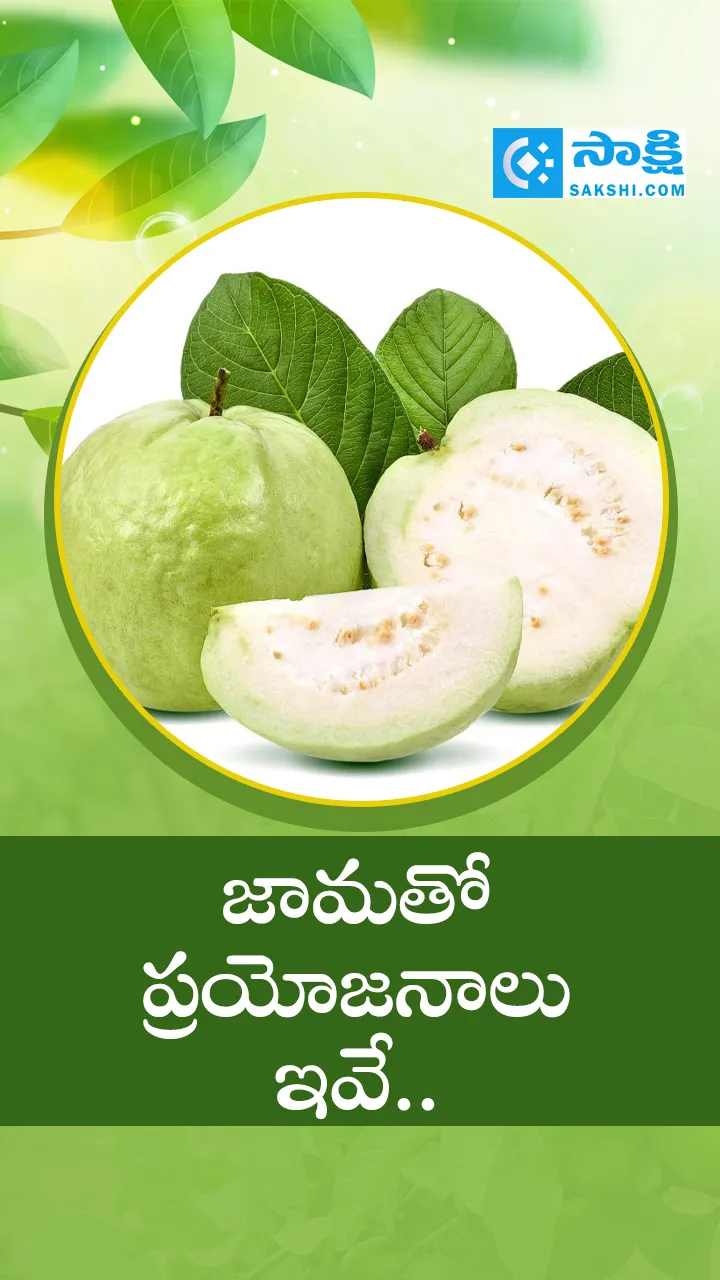 Guava Health Benefits