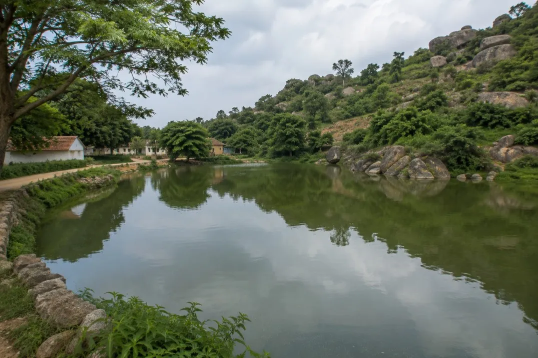 Father and son died while making roosters swim in a water  