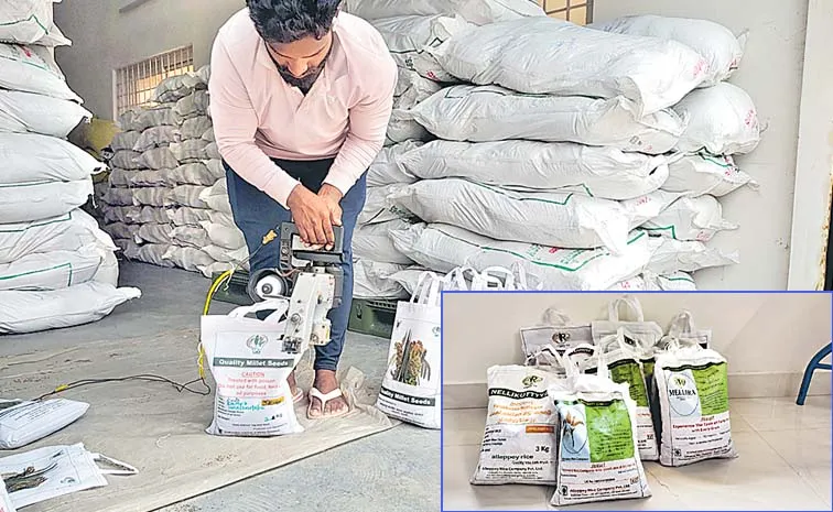 ఐఐఎంఆర్‌లో చిరుధాన్య విత్తనాలు