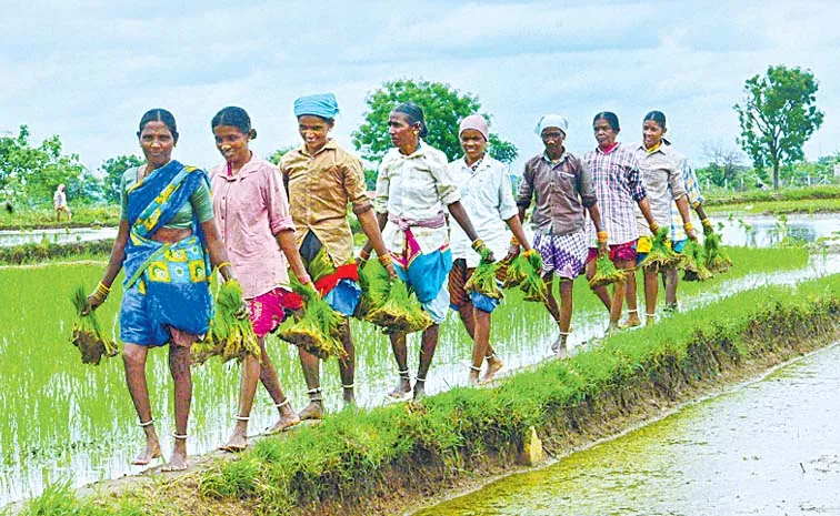 Telangana Congress Government's Abhayahastham Scheme For The Agricultural Sector