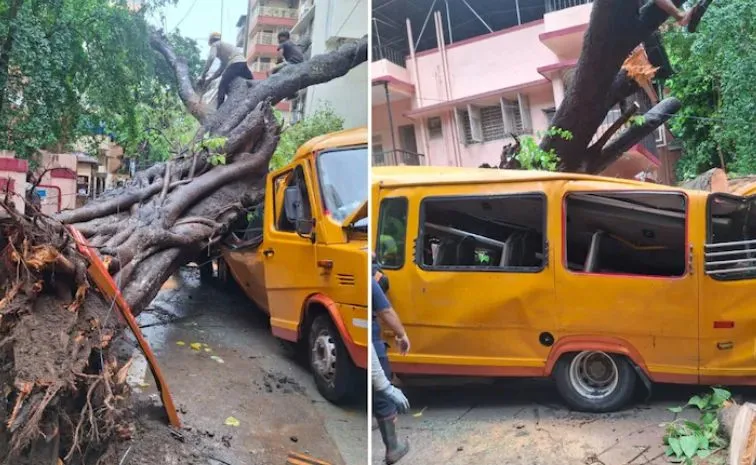 స్కూల్‌ బస్సుపై పడ్డ చెట్టు.. ఓ విద్యార్థి మృతి, 10 మందికి గాయాలు