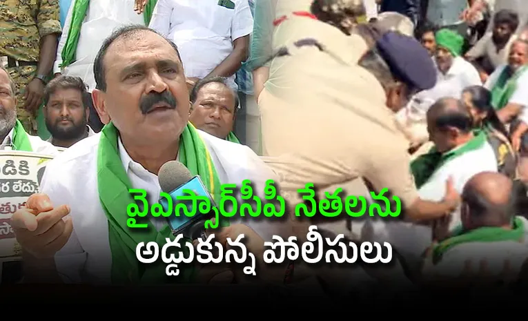 మామిడి రైతులకు మద్దతుగా వైఎస్సార్‌సీపీ ఆందోళన