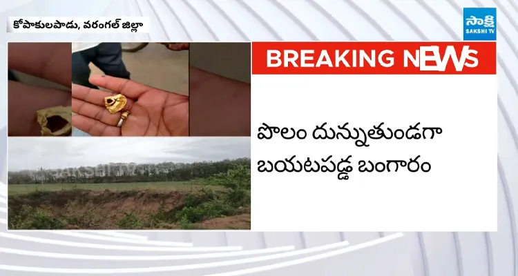 పొలంలో బంగారం కలకలం ఆ తర్వాతే మొదలైన అసలు కథ..
