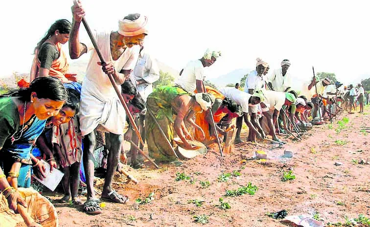 ఈ ఏడాదీ అదే కూలి!