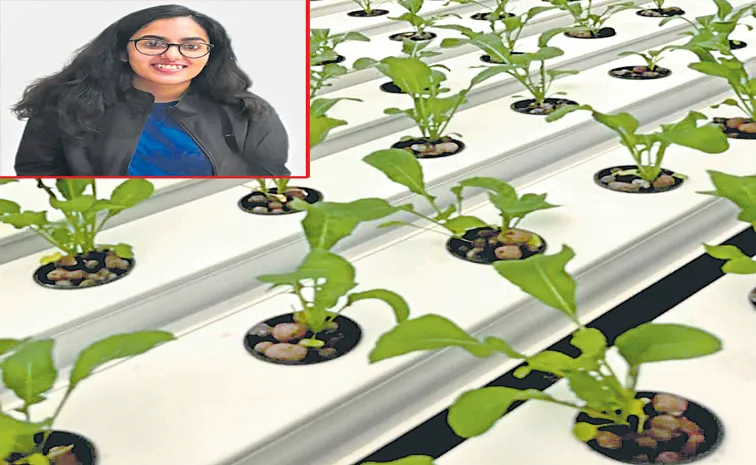 Kolkata student Vansika Jhawar creates a low-cost hydroponic farm