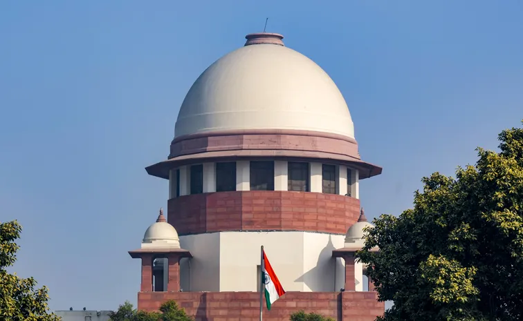 Prolonged Marital Separation Can Constitute Mental Cruelty
