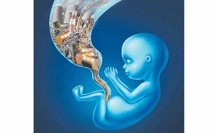 పిండం 'పొల్యూషన్‌' గండం