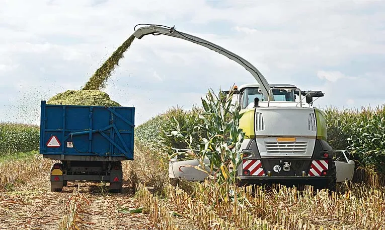 Sagubadi: Making jet fuel from corn stover