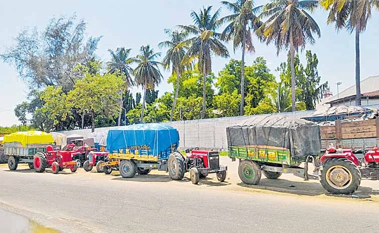 Mango Tractors lined up at pulp factories