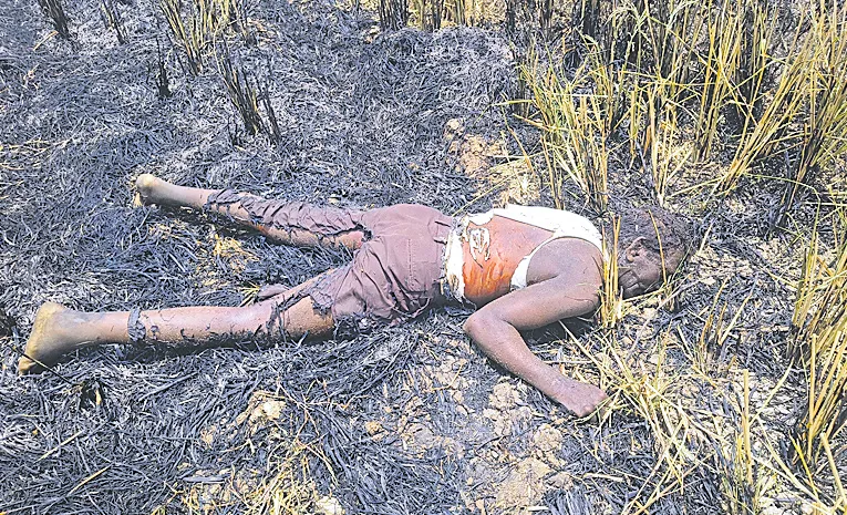 Paddy Stubble Fires Turn Deadly: Farmers Pay the Ultimate Price