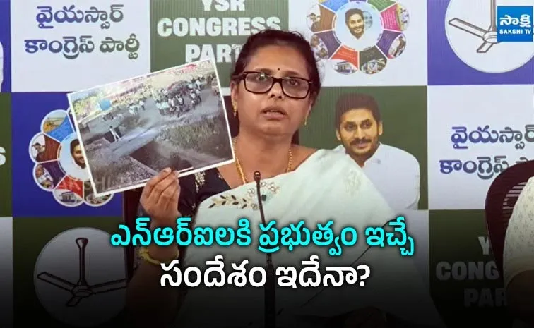 NRI Family From Chilakaluripet Slam AP Govt Over Mall Property Issue