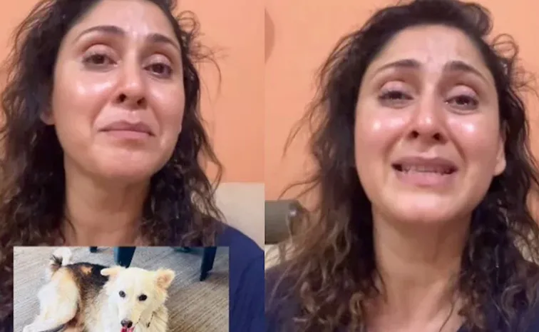 Manjari Fadnis Alleges Society Dog Mikey Was Hit With Rod