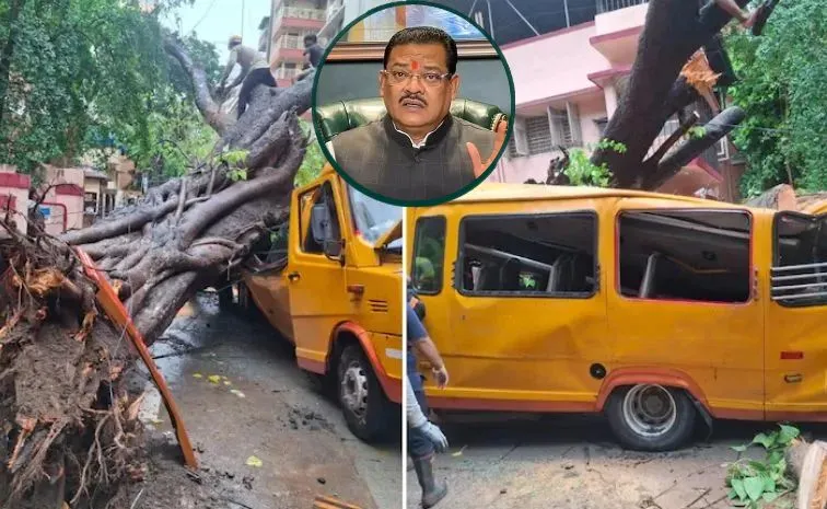 చిన్నారి ప్రాణం తీసిన చెట్టు.. మంత్రి షాకింగ్ కామెంట్
