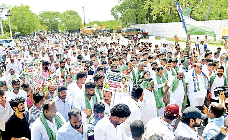 YSRCP Protest For Mango Farmers: Andhra pradesh