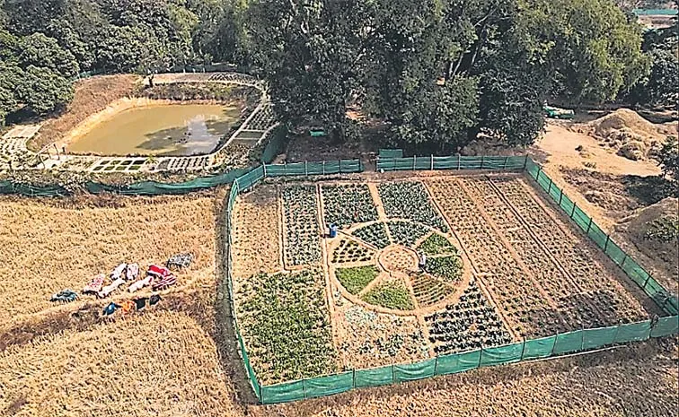Sagubadi: Climate Resilient Integrated Farming