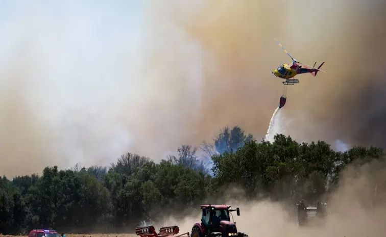  12 dead in wildfire in southern spain