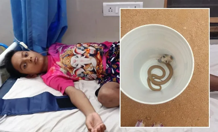 Student Bitten by Snake in Tribal Gurukul at antapur