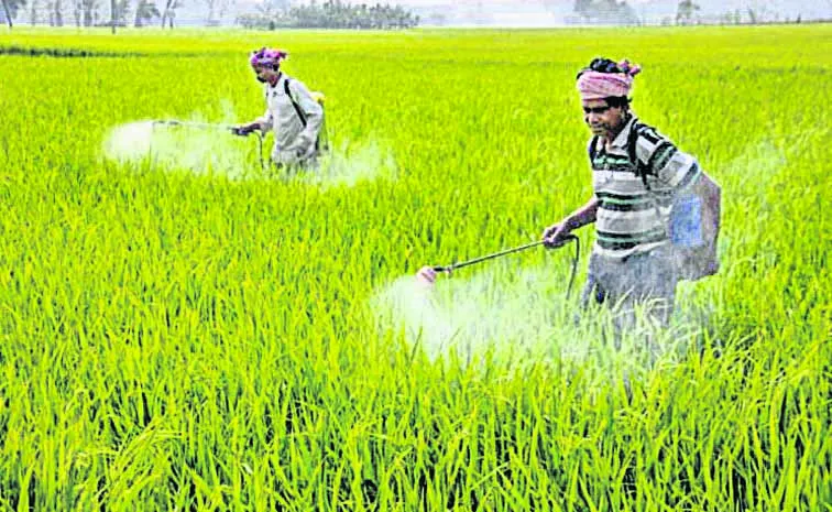 The farmer is responsible for registering for crop insurance