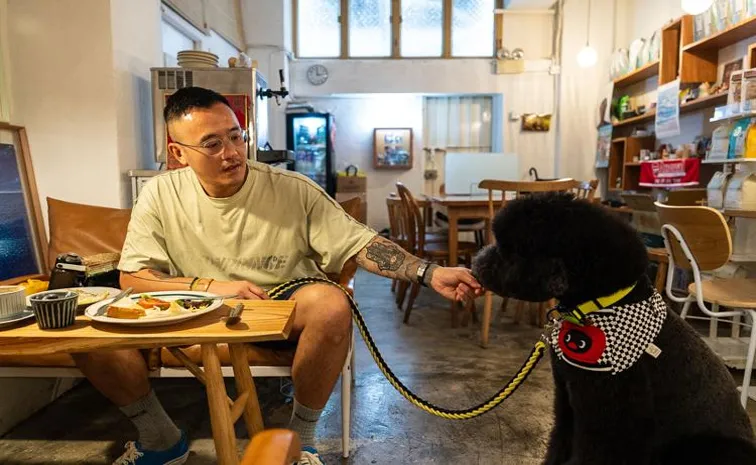 Hong Kong restaurants welcome dogs after 32-year ban