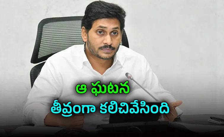 Ys Jagan Shocked By Boat Accident In Vietnam