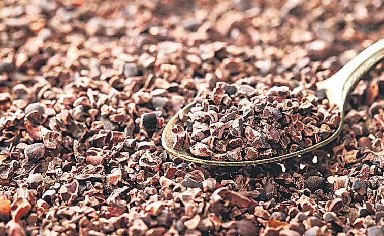 The best trending superfood is cocoa nibs