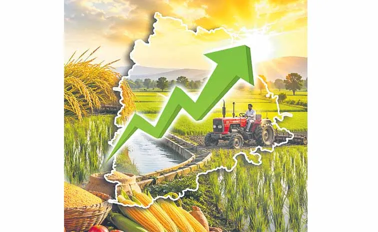 Telangana is number one in the country in RBI Handbook statistics