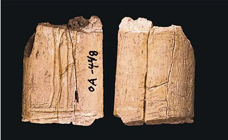 5000-year old 'cultic space' discovered in Iraq dates to time 