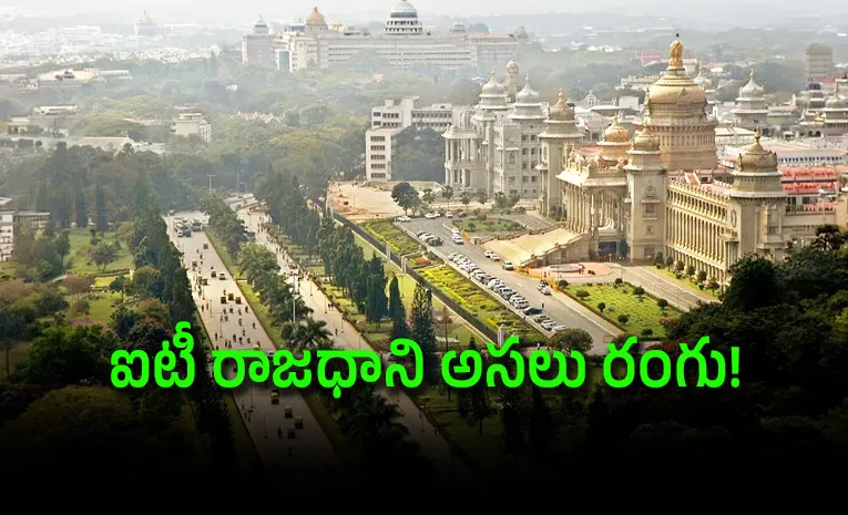 Bengaluru Water Crisis: Tech Capital Entirely At The Mercy Of Cauvery River