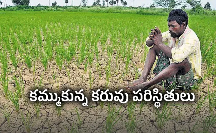 India recorded a 43 Percentage rainfall deficit by the end of June