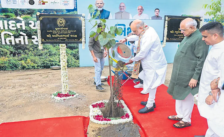 ఒక్క గంటలో 3.61 లక్షల మొక్కలు 