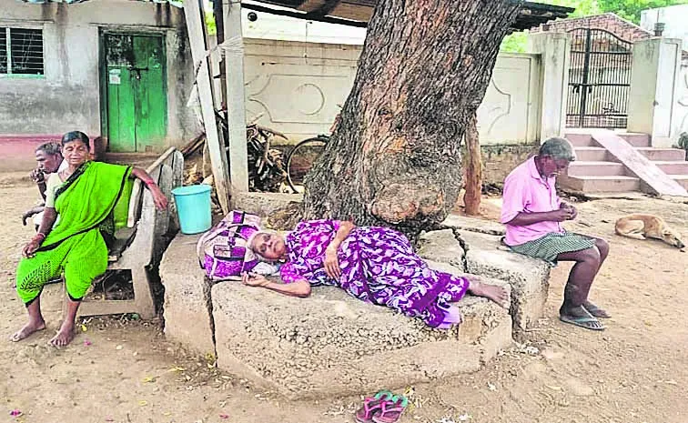 ముగ్గురు కొడుకులున్నా చెట్టు నీడే దిక్కు!