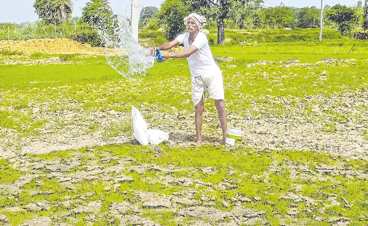 వానలు కరువు!