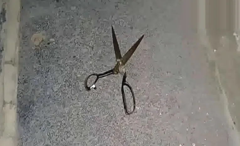 Anantapur Mother and Son Incident