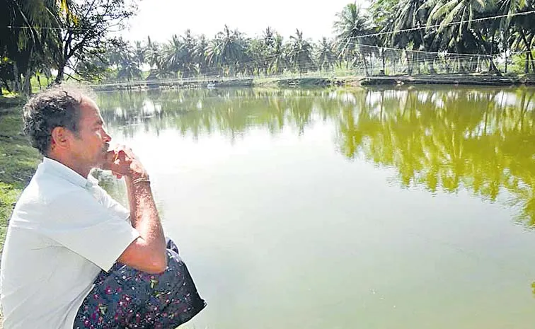 Bhimavaram Aqua Farmers Crisis: YS Jagan Visit To Support, Here's Guest Column Special Story