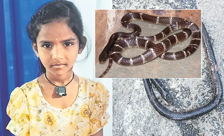 Snake bites sleeping mother and daughter 