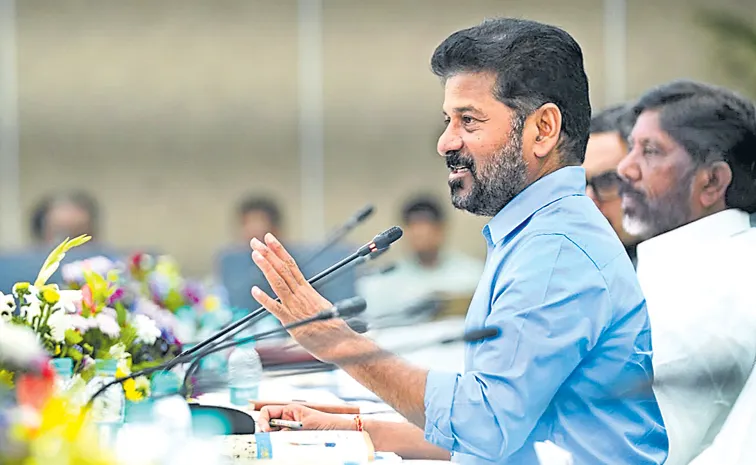 CM Revanth Reddy Comments in meeting with MPs