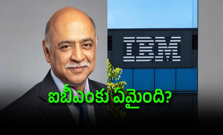What Went Wrong IBM Loses USD 70 Billion After Worst Stock Crash In 58 Years