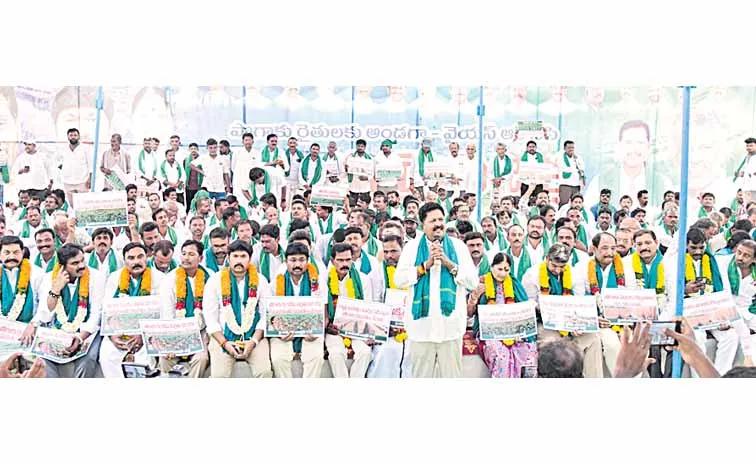 YSRCP Regional Coordinator Karumuri Nageswara Rao at the tobacco farmers protest