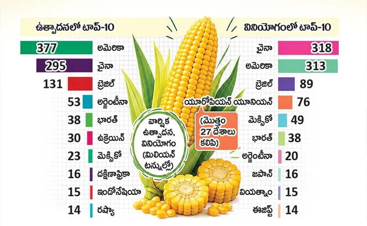 Statistics Related To Maize Among Cereal Crops