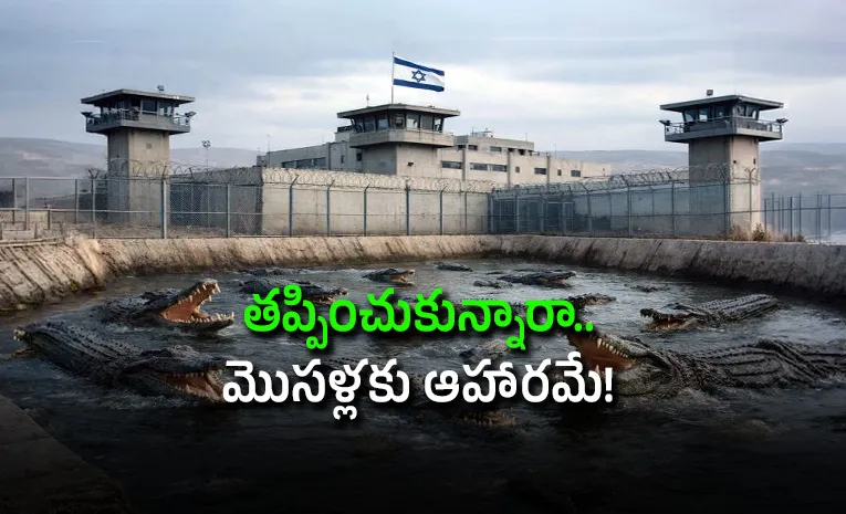 new rule in israel allows use of crocodiles to stop prison escapes