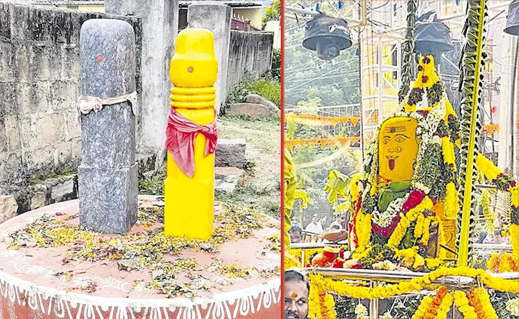 Sakshi Special Story on Bodrai