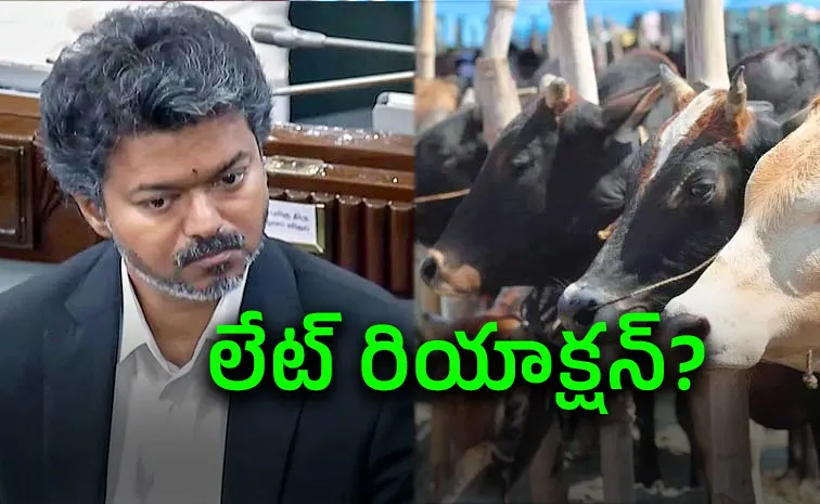 Cow Slaughter Ban: Vijay Govts SC Move Triggers Political Row