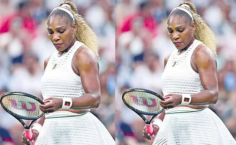 Serena Williams lost a fight to the hands of Maya Joint