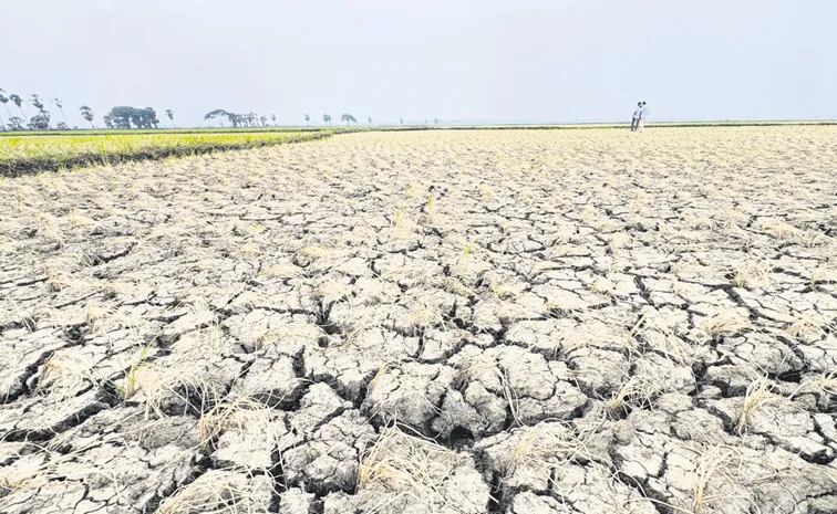 Water shortage in Denduluru
