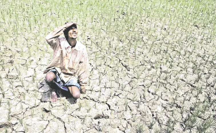 కరువొస్తోంది.. కొత్త సలహాలివ్వండి