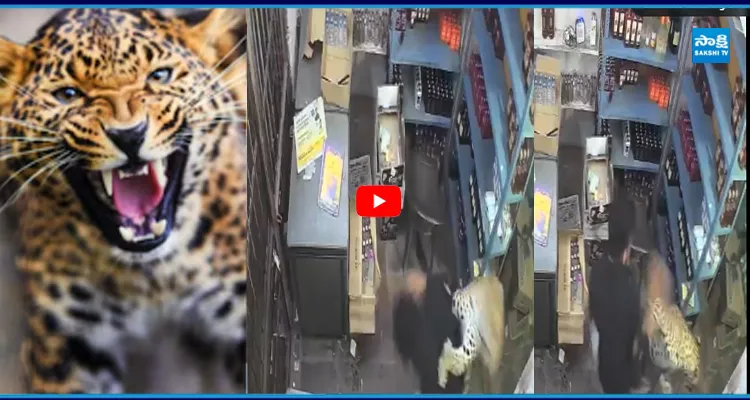 Viral Video: వైన్స్ షాపులోకి దూరిన చిరుత... ప్రాణాలకు తెగించి..